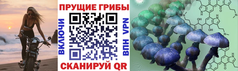 Псилоцибиновые грибы мухоморы  Купить где  Белёв 